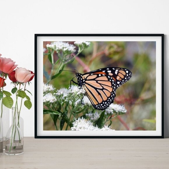 Monarch Butterfly on a‎ Flower Photography Oil Painting Art Print - Picture 3 of 7